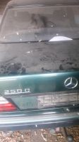 Suche Mercedes 124 Diesel 200 250 300 D TD Nordrhein-Westfalen - Oer-Erkenschwick Vorschau