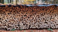 Vorgetrocknetes Brennholz Niedersachsen - Liebenburg Vorschau