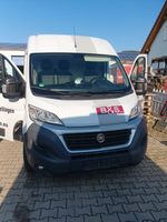 Fiat Ducato 2,3 Multijet 2 L2 H2 , MwSt ausweisbar Bayern - Himmelstadt Vorschau