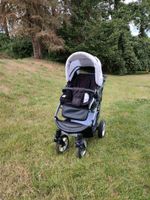 Kinderwagen 3 in 1 Bergsteiger Capri Nordrhein-Westfalen - Fröndenberg (Ruhr) Vorschau