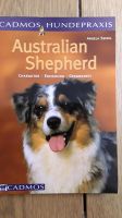 Australien Shepherd Bayern - Pleinfeld Vorschau