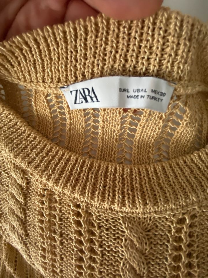 Zara Pullover beige goldfarben Rüschen L in Saarbrücken