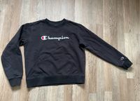 Champion Pullover Sachsen - Großharthau-Seeligstadt Vorschau