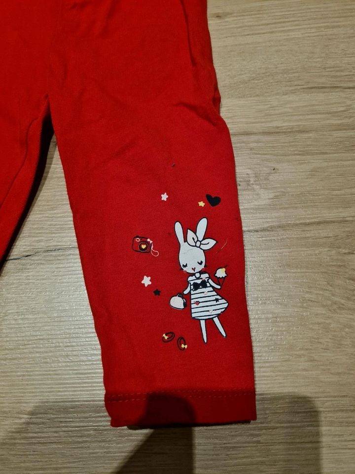 3/4 Leggings Hase in Hohenroda