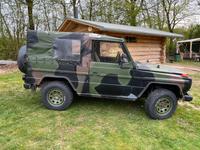 Mercedes-Benz G 250 Wolf Nordrhein-Westfalen - Lemgo Vorschau