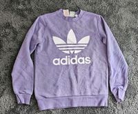 adidas Sweatshirt Pullover 158 12/13 Y lila girl Nordrhein-Westfalen - Schwalmtal Vorschau