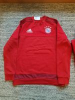 FC Bayern München Pulli Gr.164☆neuwertig☆ Saarland - Nohfelden Vorschau