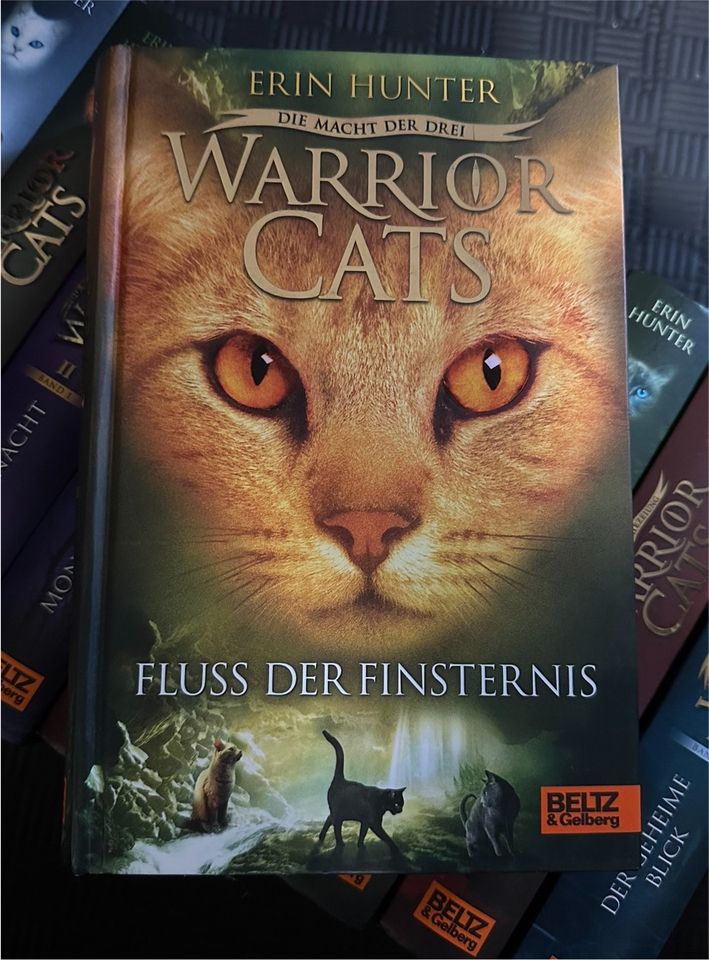 Warrior Cats von Erin Hunter in Detmold