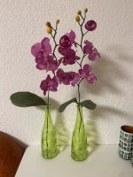 Orchidee Blumen mit grüner Glasflasche Nordrhein-Westfalen - Werne Vorschau