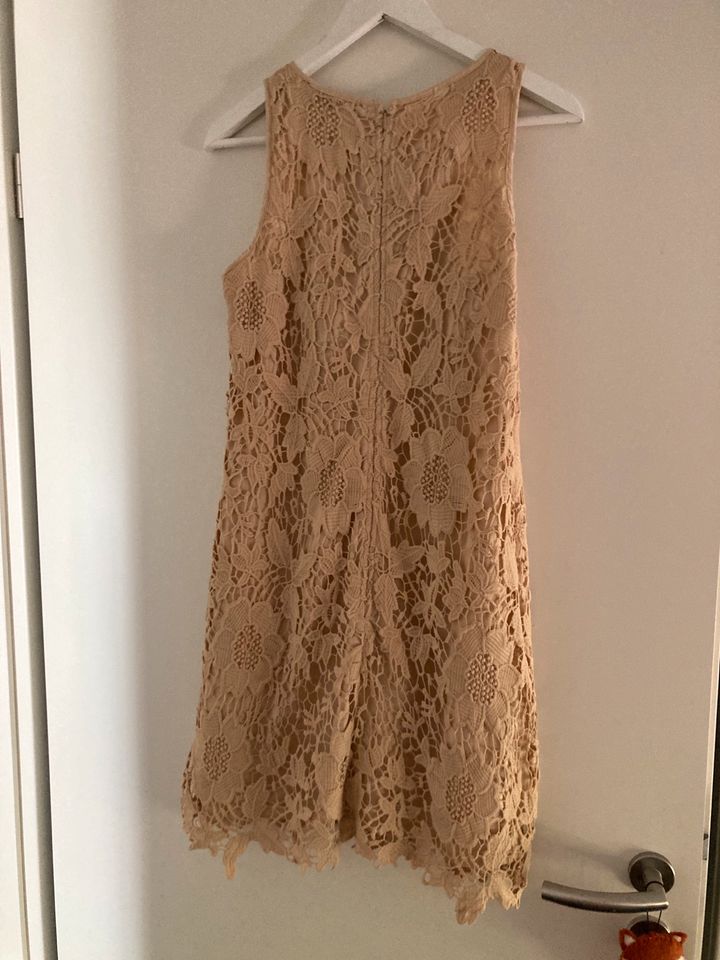 Spitzenkleid von Hallhuber, Größe 36 in Tübingen