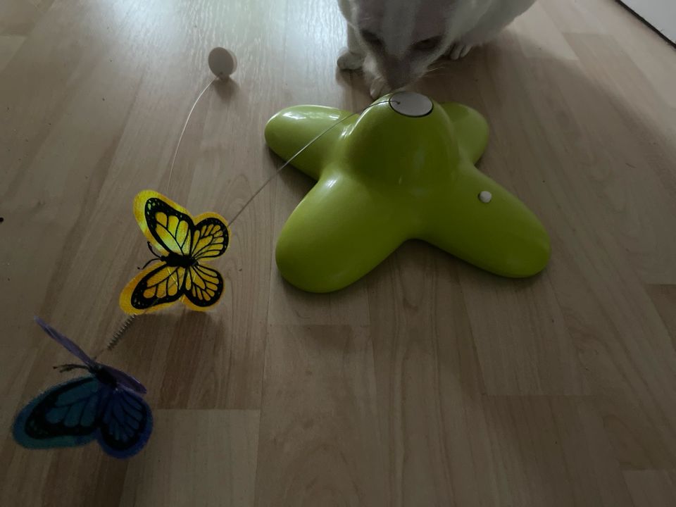 Katzen Spielzeug  fliegender Schmetterling in Hamburg