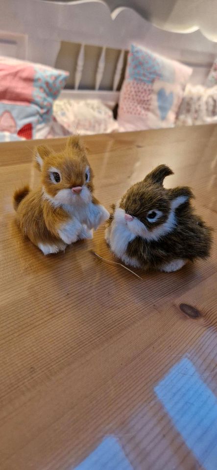 Häschen Deko Ostern in Kiel