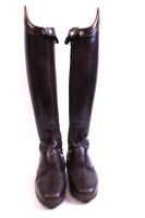 Celeris Dressur Reitstiefel lbraun Hartschaft Gr.36,5 H45 W31 Dresden - Blasewitz Vorschau