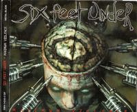 Six Feet Under – Maximum Violence CD Digipak Death Metal Rheinland-Pfalz - Rieschweiler-Mühlbach Vorschau