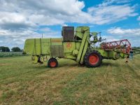 CLAAS Matador Gigant in saatengrün Niedersachsen - Uelsen Vorschau