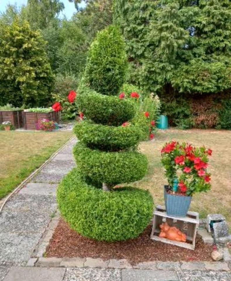 Gartenpflege/Gartenarbeiten in Hannover