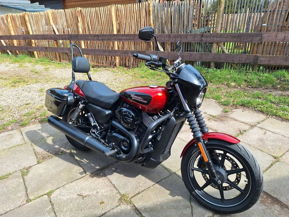 Harley Davidson Street 750 in Kaltenkirchen