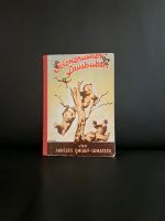 Altes Kinderbuch,  Schönbrunner Lausbuben, Umlauf-Lamatsch, 1956 Baden-Württemberg - Bad Ditzenbach Vorschau