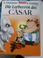 Asterix: Die Lorbeeren des Cäsar Hessen - Angelburg Vorschau