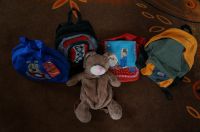 Rucksack Sporttasche Kindergarten Krippe Kita u.a. McNeill ab 2 € Sachsen - Jößnitz Vorschau