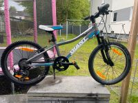 Giant 20 Zoll Kinder mtb Fahrrad Dortmund - Mengede Vorschau