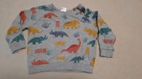 Pulli Pullover Sweatshirt mit Dinos Pusblu dm Gr. 74 Sachsen - Schwepnitz Vorschau