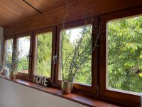 5 kleine Fenster Holz 98x ca 3,38 mit Rahmen Rheinland-Pfalz - Polch Vorschau