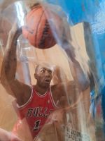 NBA Derrick Rose Chicago Bulls Sammelfigur Series 24 McFarlane Sachsen - Bautzen Vorschau