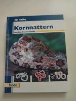 Ihr Hobby Kornnattern bedeVerlag Sachsen-Anhalt - Eckartsberga Vorschau