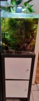 Aquarium 60l Nano Cube Dennerle Rheinland-Pfalz - Freirachdorf Vorschau