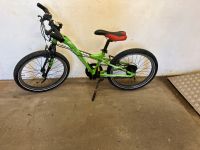 Kindermountainbike 20 Zoll Bayern - Hösbach Vorschau