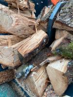 Brennholz frisch gespaltenes  Laubholz Buche Eiche gemischt Saarland - Saarwellingen Vorschau