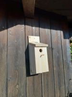 Neu! Nistkasten für Meisen, Vogelhaus, Brutkasten Bayern - Engelsberg Vorschau