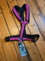 Anny X Geschirr schwarz/pink Gr. XL Neu Rheinland-Pfalz - Puderbach Vorschau