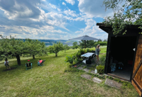 1.000 qm Traumgarten mit Gerätehütte, Obstbäumen & Terrasse Baden-Württemberg - Esslingen Vorschau