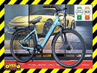 TENWAYS CGO800S e-Bike 19kg Reingewicht Carbon-Riemen 155 ~ 190cm Sachsen-Anhalt - Staßfurt Vorschau