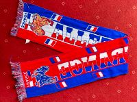 FRANKREICH FANSCHAL FUSSBALL WM EM SCHAL MERCHANDISE ALLEZ FRANCE Walle - Utbremen Vorschau