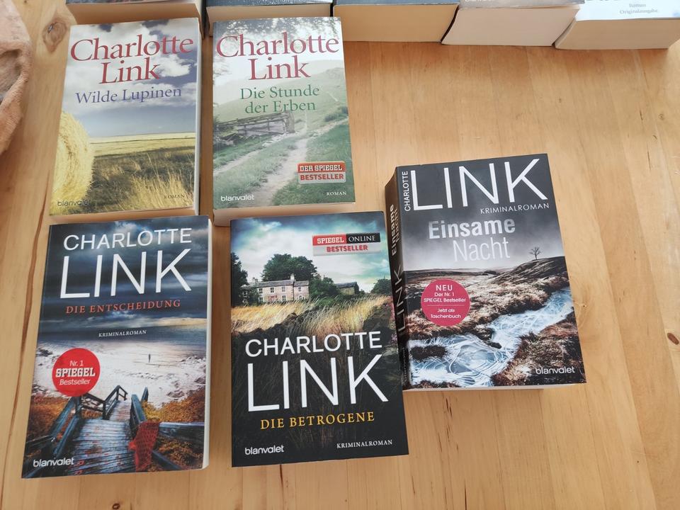 15 gebr. Bücher Charlotte Link in Edewecht