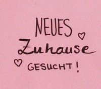 Wohnung oder Haus gesucht Nordrhein-Westfalen - Paderborn Vorschau