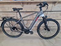 Victoria Manoc 3 ** Modell 2023 ** Riemen / 75Nm / 625Wh / Enviolo / 170kg** E-Bike Schleswig-Holstein - Grauel Vorschau