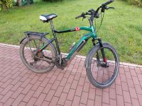 Haibike SDURO Trekking 8.0 BCXI (500Wh) E-Bike Herren 27,5" 60cm Nordrhein-Westfalen - Marl Vorschau