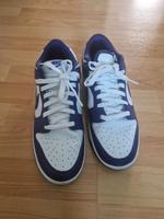 Nike Dunk Low lila Brandenburg - Brandenburg an der Havel Vorschau