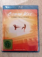 COBRA KAI STAFFEL 1 (BLU-RAY / 2 DISC 'S) Thüringen - Meuselwitz Vorschau