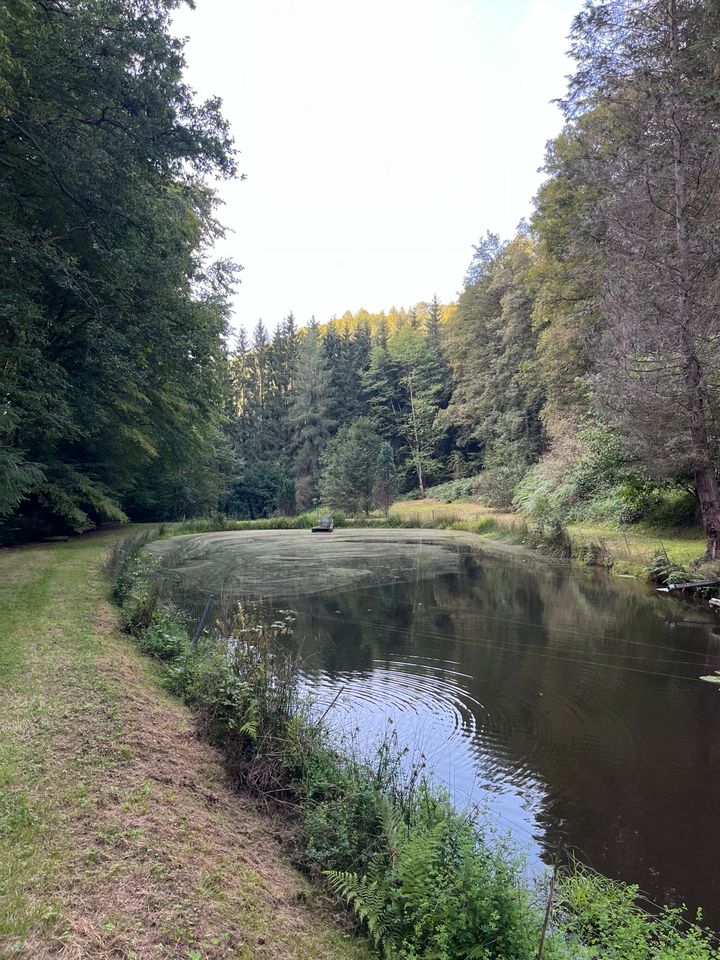 Fischerweiher Trulben/Pirmasens Hilstbach in Hilst