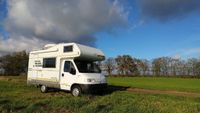 Wohnmobil Camper Vermietung mieten leihen ab 85 €/Tag Berlin - Lichtenberg Vorschau