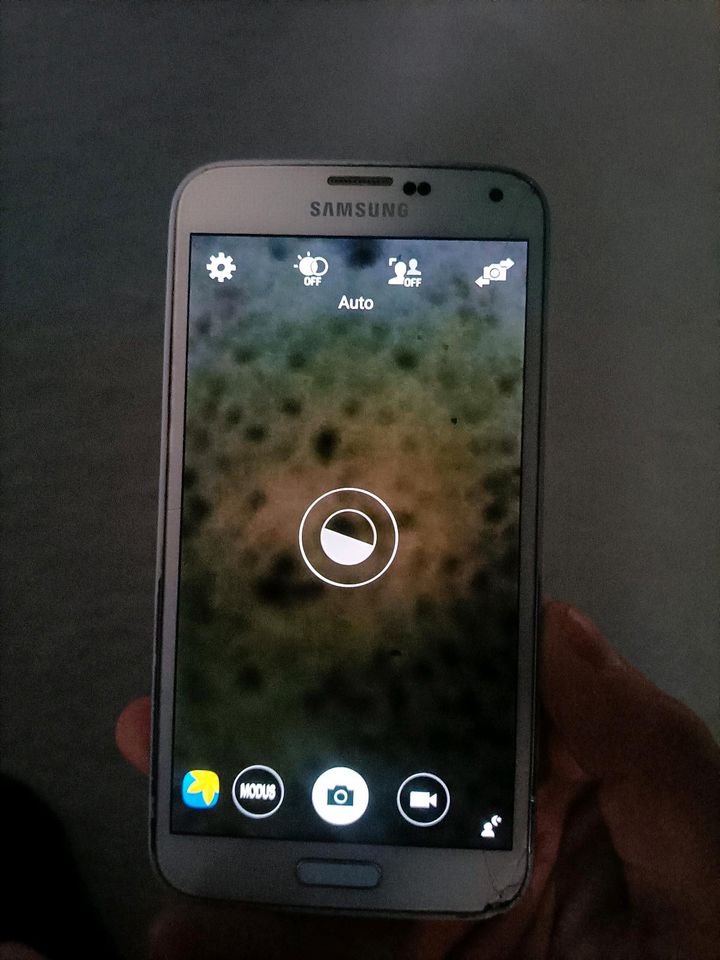 Samsung Galaxy s 5 in Oldenburg