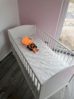 Baby und Kinder Bett Nordrhein-Westfalen - Spenge Vorschau