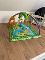 Fisher Price Spielbogen Rainforest Nordrhein-Westfalen - Erkelenz Vorschau