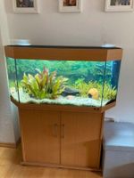 Juwel Panorama 100 Aquarium LED 170 l mit Unterschrank Buche Nordrhein-Westfalen - Neuss Vorschau