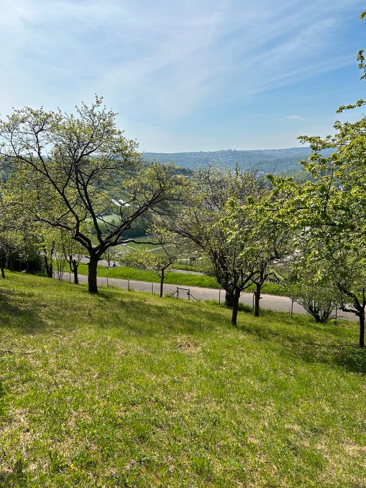 Gartengrundstück mit traumhaften Blick über Stuttgarts Weinberge in Ehningen